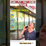 Can I Pet Prank is Genius 🤣🤯