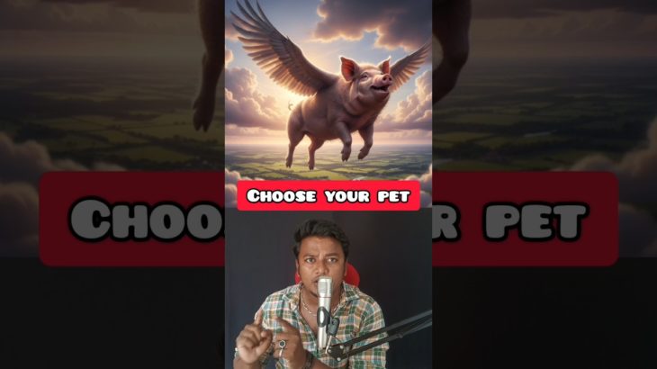 Choose Your Pet ‼️