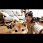 Commemorative Photo Shoot