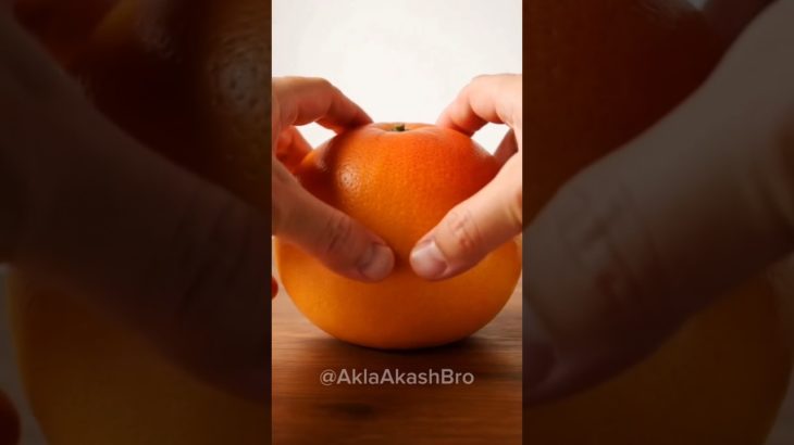 Cooling and heartwarming pet #videos #healingpets #stressreliefvideos #viral