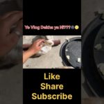 Dekha??🥰 #viralvideo #pet #vlog #shortsviral #shortvideo #funny