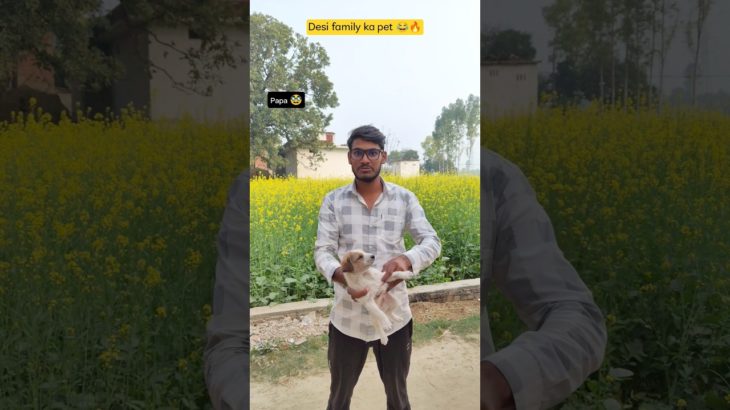 Desi family pet be like 😂🔥| indian family #comedy #indian #relatable #chotabhai #bachpan #shorts