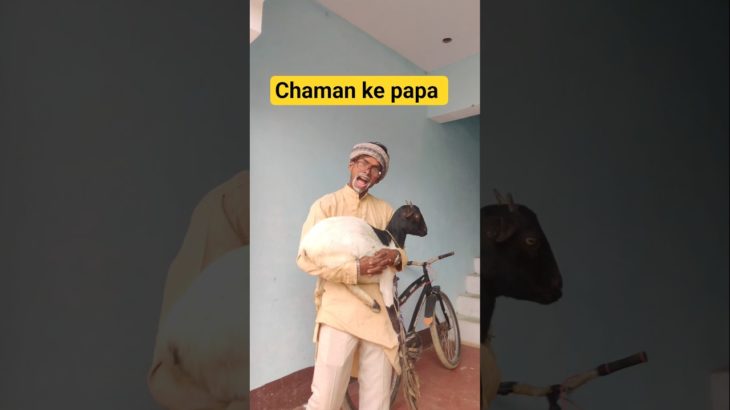 Desi family pet be like😂🔥|indian family😅 #shorts #indian #comedy #relatable #chotabhai #goat #bachp