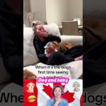 Dog and baby❤️🐶👶#dog #baby #bestfriend #pet #puppy #short