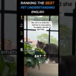 (Don’t ever miss #1) Ranking the best pet understanding english 😂😹🐕