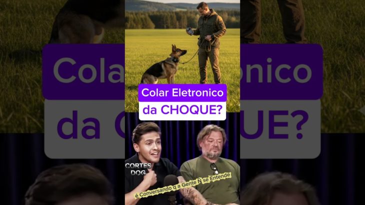 Dr Pet VS Mr Pet🔥 é Choque ou Não?