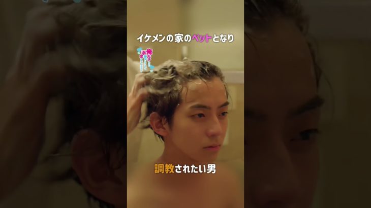 ペットとして飼われ始めました＜俺モテんのに、アイツにしか反応しなくなって溺愛されてんだけど＞FOD SHORT（FODショート）