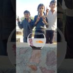 Father’s love for pet ❤️ #shorts #save #fish #funny  #seemalamba