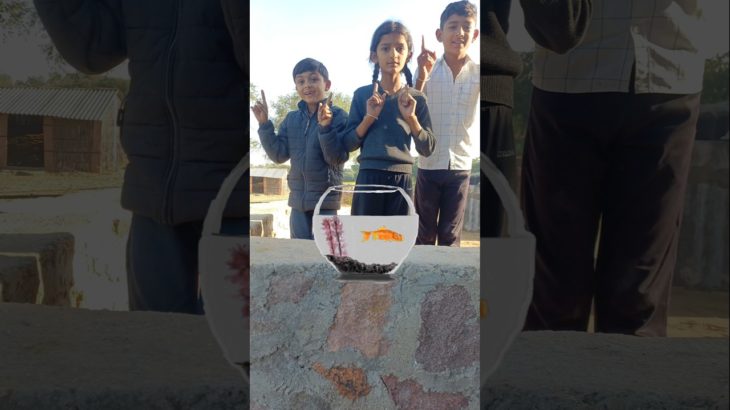 Father’s love for pet ❤️ #shorts #save #fish #funny  #seemalamba