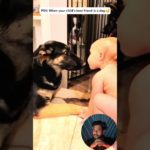 Funny stories about babies and dogs 🥰❤️ | #42 | #pet #cat #dog #cute #animals#foryou #typ