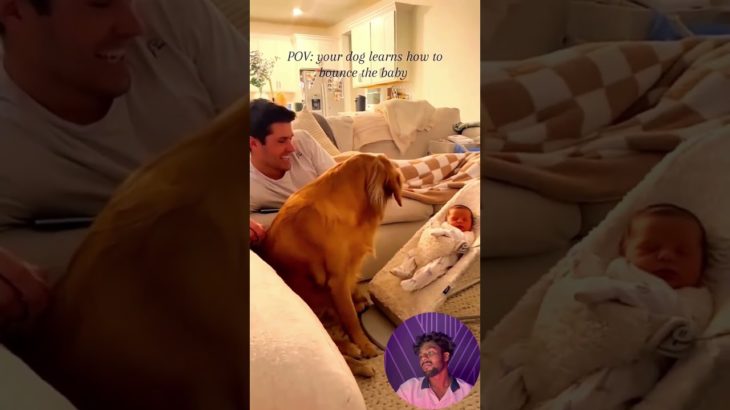 Funny stories about children and dogs ❤️🥰 | #51 | #pet #cat #dog #cute #animlas#foryou #typ