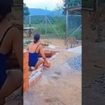 Her pet turned So Big And did Unbelievably😭😭💔💔💔💔💔