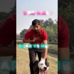 Human vs Pet Race Challange 👀👀 #shorts #short #pets #pitbull #challange