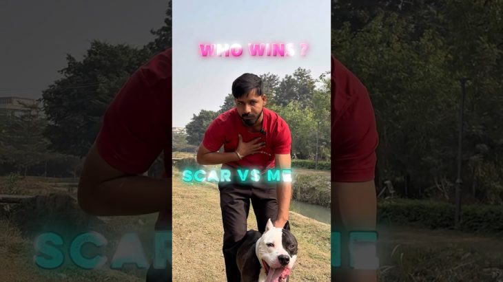 Human vs Pet Race Challange 👀👀 #shorts #short #pets #pitbull #challange