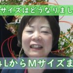 ３か月で４LからMサイズへ