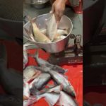 Machli katar or fish #petsmoon #fish #pet #minivlog #fishing #fish #fishingvideo #fishcutting #pets