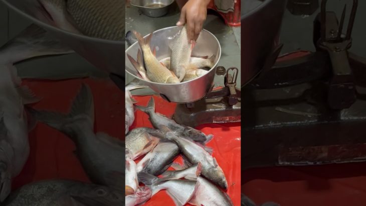 Machli katar or fish #petsmoon #fish #pet #minivlog #fishing #fish #fishingvideo #fishcutting #pets