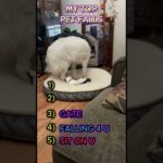 My TOP Pet Falls 😂🐶🐱 | Try Not to Laugh!