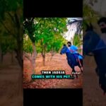 Others VS Jadeja’s Pet..😎🔥 #cricket #viratkohli #msdhoni #ravindrajadeja