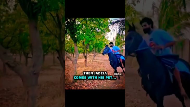 Others VS Jadeja’s Pet..😎🔥 #cricket #viratkohli #msdhoni #ravindrajadeja