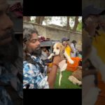 Pallavaram Friday Pet Market Full Cover | Dogs highlights #shorts #pallavaramfridaymarket #prankbabu