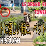 ペットに優しい街に、ペットと宿泊 | Pet Friendly Condo in Eastwood Le Grand Tower 3 | Tour with me 🇵🇭