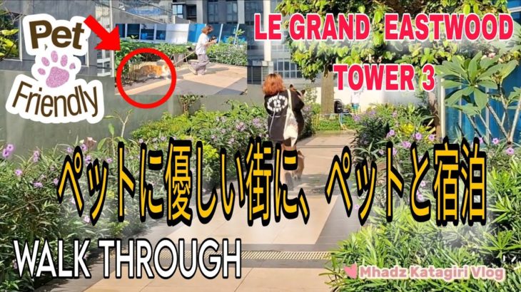 ペットに優しい街に、ペットと宿泊 | Pet Friendly Condo in Eastwood Le Grand Tower 3 | Tour with me 🇵🇭