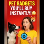 Pet Gadgets You’ll Buy Instantly! 🐶😲#PetGadgets #youtubeshorts