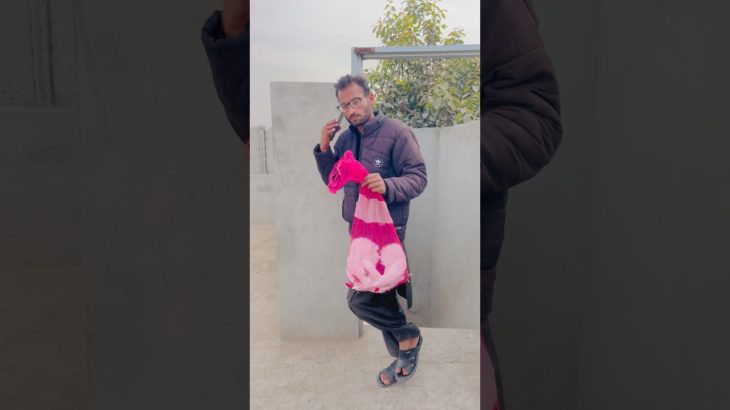 Pet House Main New Fancy Pigeon Aa Gaye #pigeon #pigeonlover #kabootar #petlover #pets