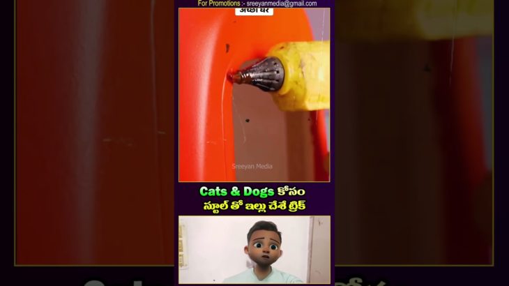 Pet Scientist Announces Breakthrough in Stool Training for Cats and Dogs