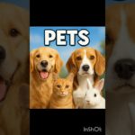 Pet Shop Gaya New Pet Lene 😍 | Mini Vlog 🐾