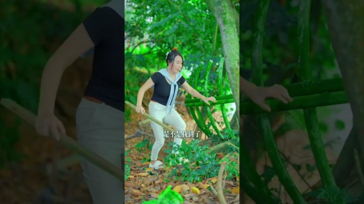 “Pet bird ne toh rula diya! 😭”#shorts #shortsfeed #trending #viral #shortvideo #short #viralvideo