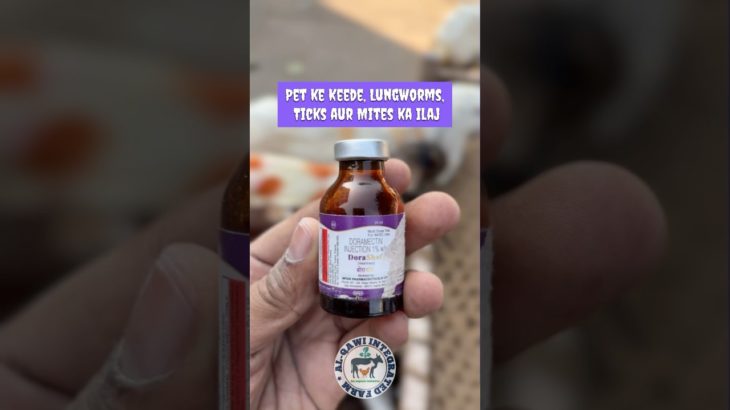 Pet ke keede, lungworms, ticks aur mites ka ilaj #dorashot #goat #cow #buffalo #ilaj #vet #shorts