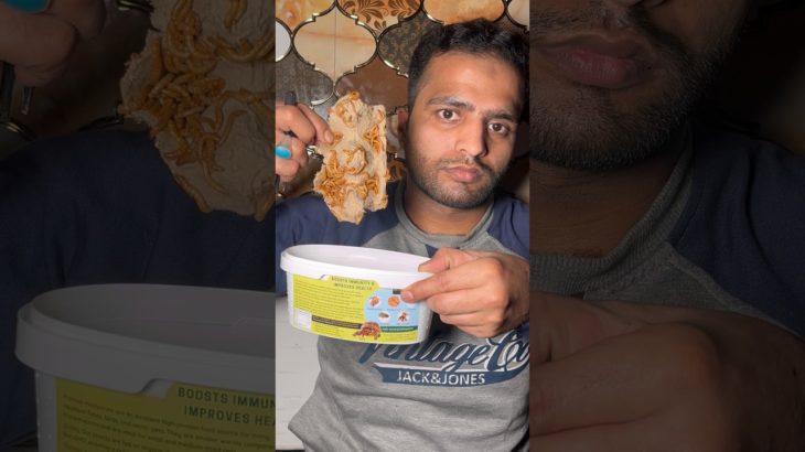 Pets k liye live food mangwa liya #pet #fish #petsmoon #aquarium #minivlog #vlog #vlogs #worms #pets