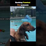 Ranking funniest Pet moments👈😂