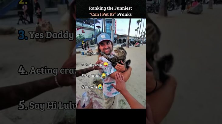 Ranking the funniest “Can I Pet It?” pranks
