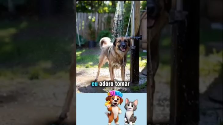 SEU PET GOSTA DE BANHO 🚿😁? #pets #cachorro #shorts