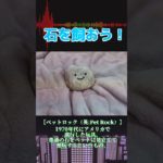 ペット・ロック #Shorts