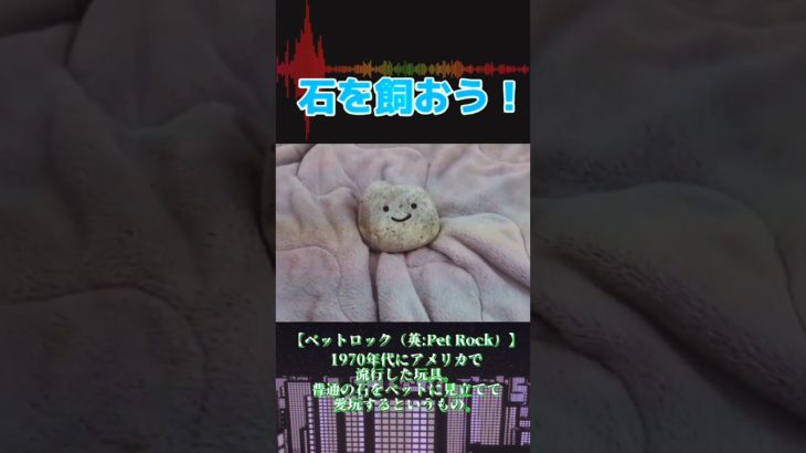 ペット・ロック #Shorts
