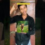 Street dog v/s pet dog 😂#shots #comedy #funny #indian #relatable #petdog #viral #ytshorts