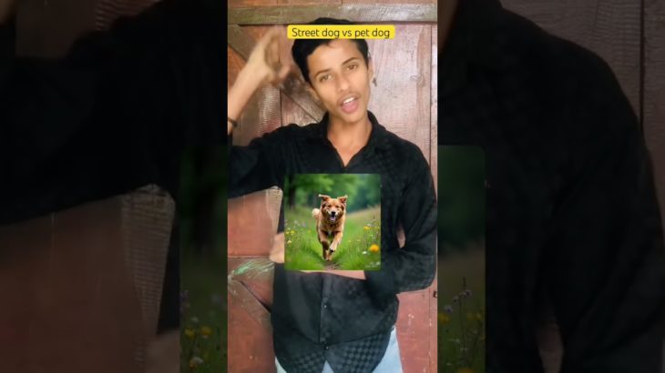 Street dog v/s pet dog 😂#shots #comedy #funny #indian #relatable #petdog #viral #ytshorts