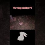 Subscribe Krlo🥺❤️ #viralvideo #pet #funny #youtubeshorts #shortsviral #shortvideo #vlog