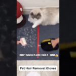 The Viral Pet Hair Removal Glove Every Pet Parent Needs #dog #cat #pethairremovaltool #shorts