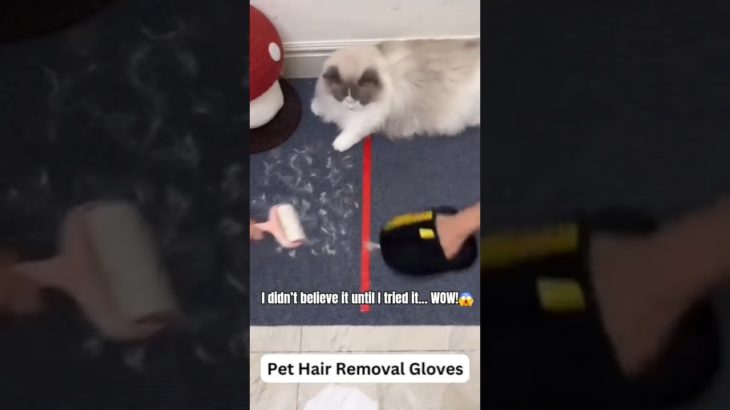 The Viral Pet Hair Removal Glove Every Pet Parent Needs #dog #cat #pethairremovaltool #shorts