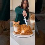 The pet runs away as soon as it sees the pet cake-animals love animals #funny #shortfilm