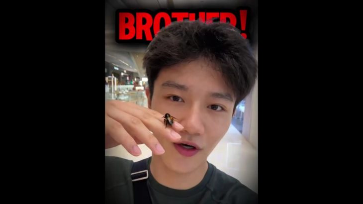 This Guy Has a Pet Bee That Follows Him Everywhere 😳