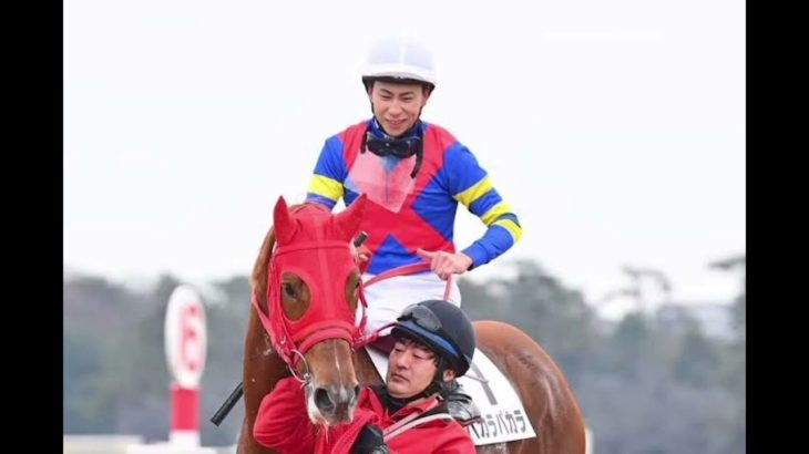 人気YouTuber・フィッシャーズのンダホ所有馬パカラパカラは初陣で逃げて11着　「やっぱり夢を見ましたね」