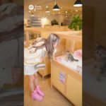 ギャルがペットショップのガラスをやぶる！？#ai#AI動画#ショート#shorts#sora2#面白い#奇跡#衝撃#ビックリ#癒し#かわい#猫好き