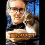リスはペットとして飼えますか？ #animals #動物プロダクション #自然