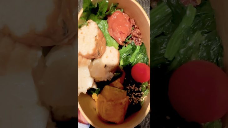 【お弁当作り】社会人ダイエット弁当#お弁当 #お弁当作り #弁当 #社会人 #ダイエット #料理 #料理動画 #cooking #lunch #自炊 #簡単レシピ #簡単料理 #簡単 #時短 #レシピ